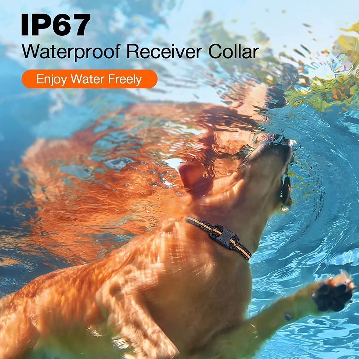 1000M Remote Pet Dog Training Collar IP67 Waterproof Shock Vibration Rechargeable Collar Pet Trainer Anti Bark Stop For 1000M Remote Pet Dog Training Collar IP67 Waterproof Shock Vibration Rechargeable Collar Pet Trainer Anti Bark Stop For