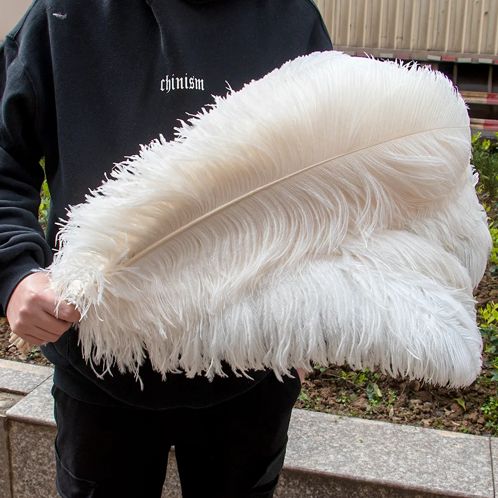 10Pcs Colored Ostrich Feathers 15-45cm for Party Wedding Home Decor Natural Ostrich Feather Table Centerpiece