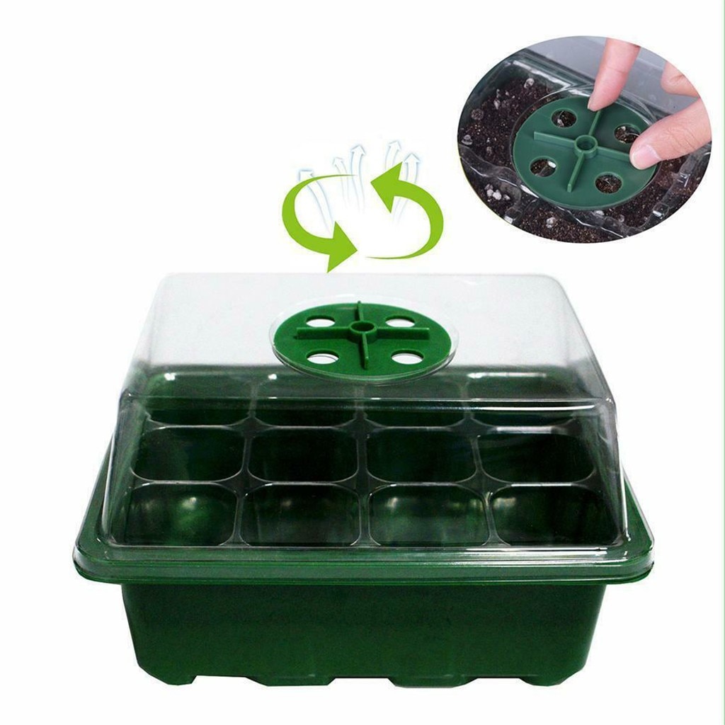 12-Grid Propagation Box Seedling Tray 12-Grid Propagation Box Seedling Tray