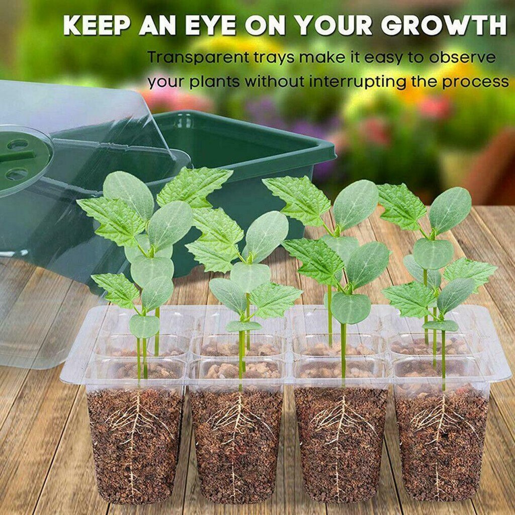 12 Holes Plant Germination Seeding Tray 12 Holes Plant Germination Seeding Tray