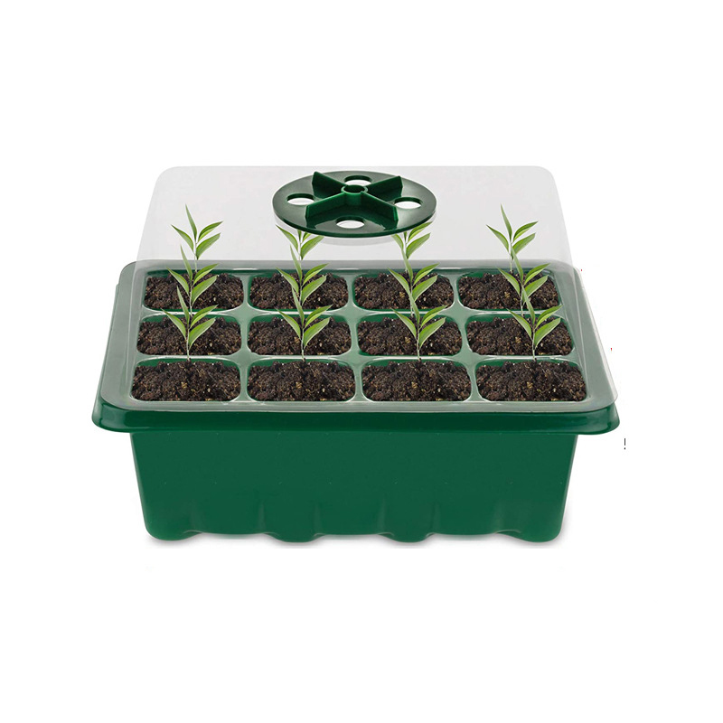 12 Holes Seed Germination Box 12 Holes Seed Germination Box