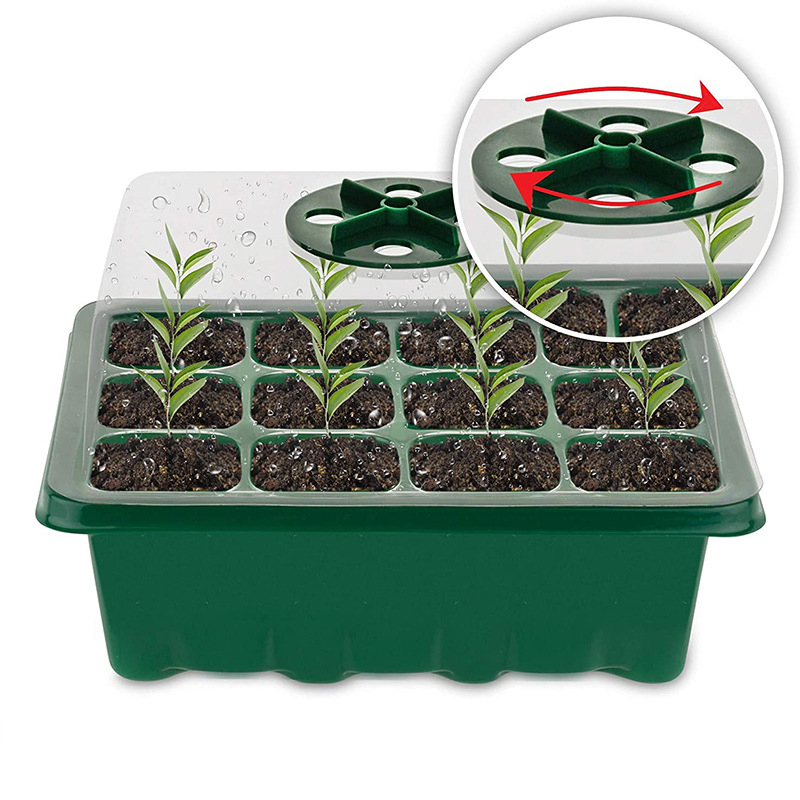 12 Holes Seed Germination Box 12 Holes Seed Germination Box