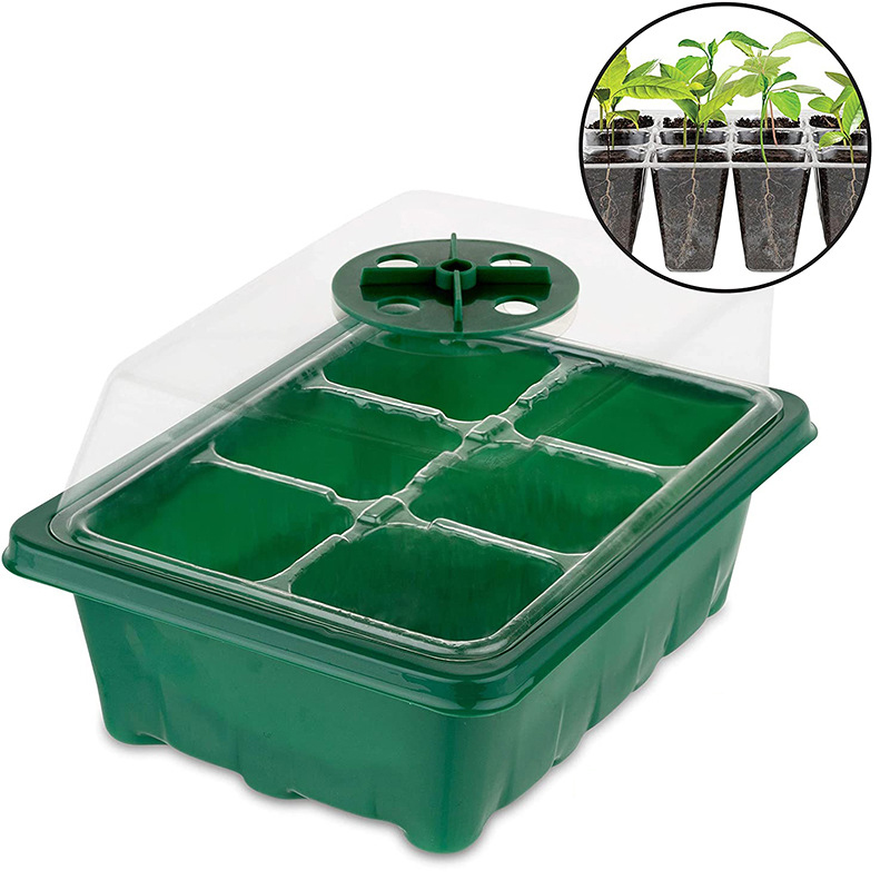 12 Holes Seed Germination Box 12 Holes Seed Germination Box