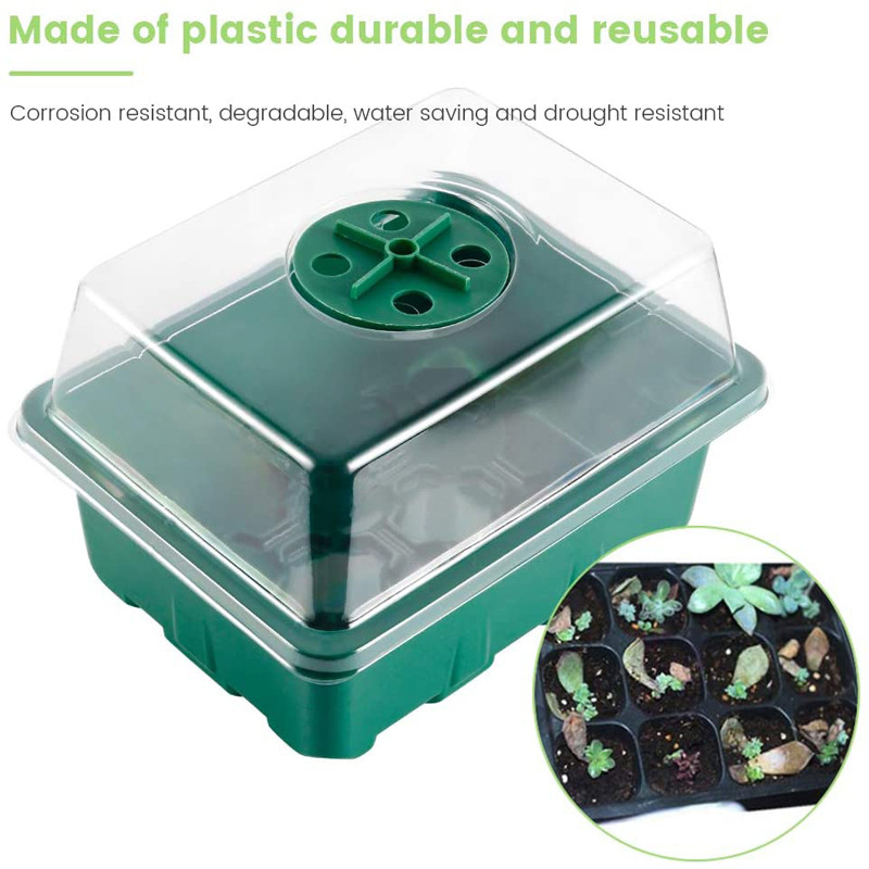 12 Holes Seed Germination Box 12 Holes Seed Germination Box