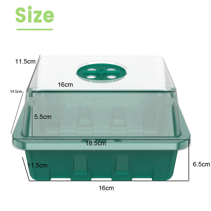 12 Holes Seed Germination Box 12 Holes Seed Germination Box