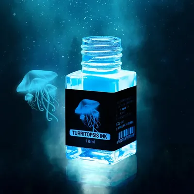 18ml Non-Carbon Magic Invisible Ink For Fountain Glass Dip Pen Creative Fluorescent Ink UV Light Gift Stationery