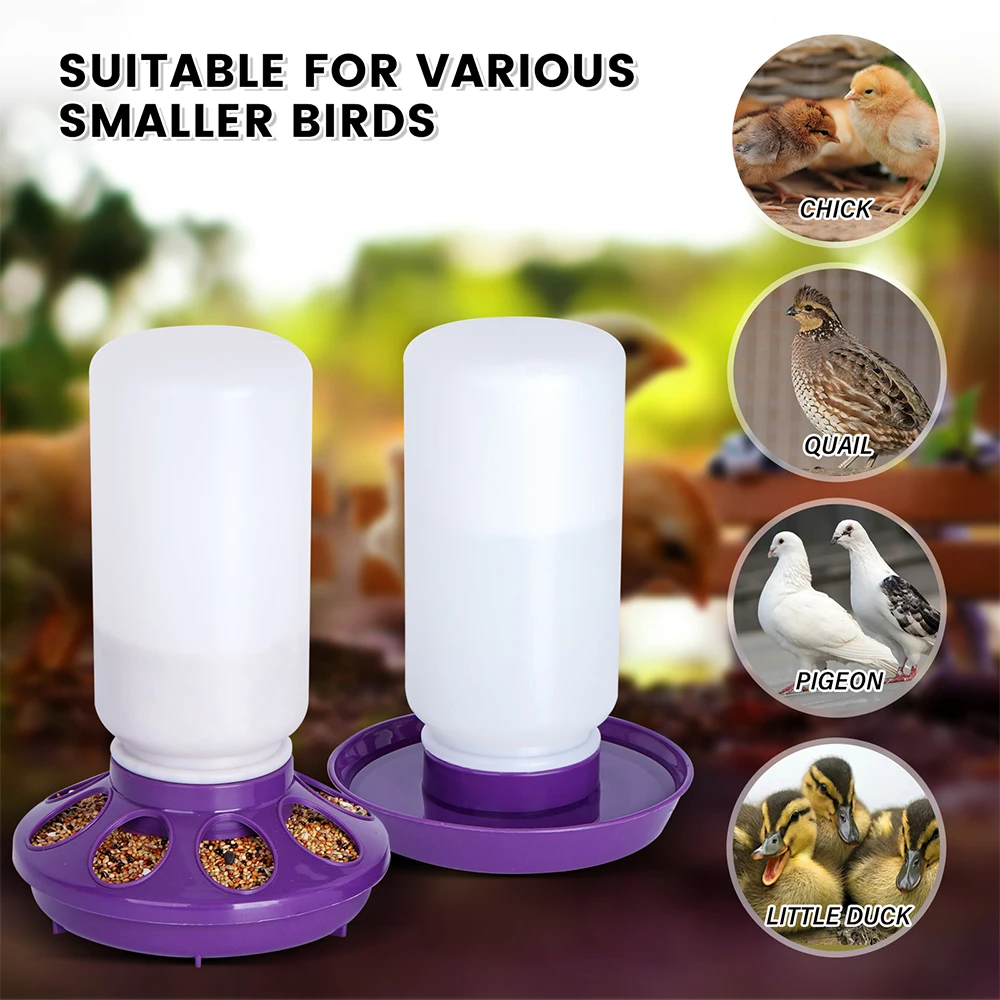 1L Chicken Feeder Bucket Water Fountain Automatic Chick Drinker Bucket Drinking Quail drinking Bird equipment Waterer 1L Chicken Feeder Bucket Water Fountain Automatic Chick Drinker Bucket Drinking Quail drinking Bird equipment Waterer