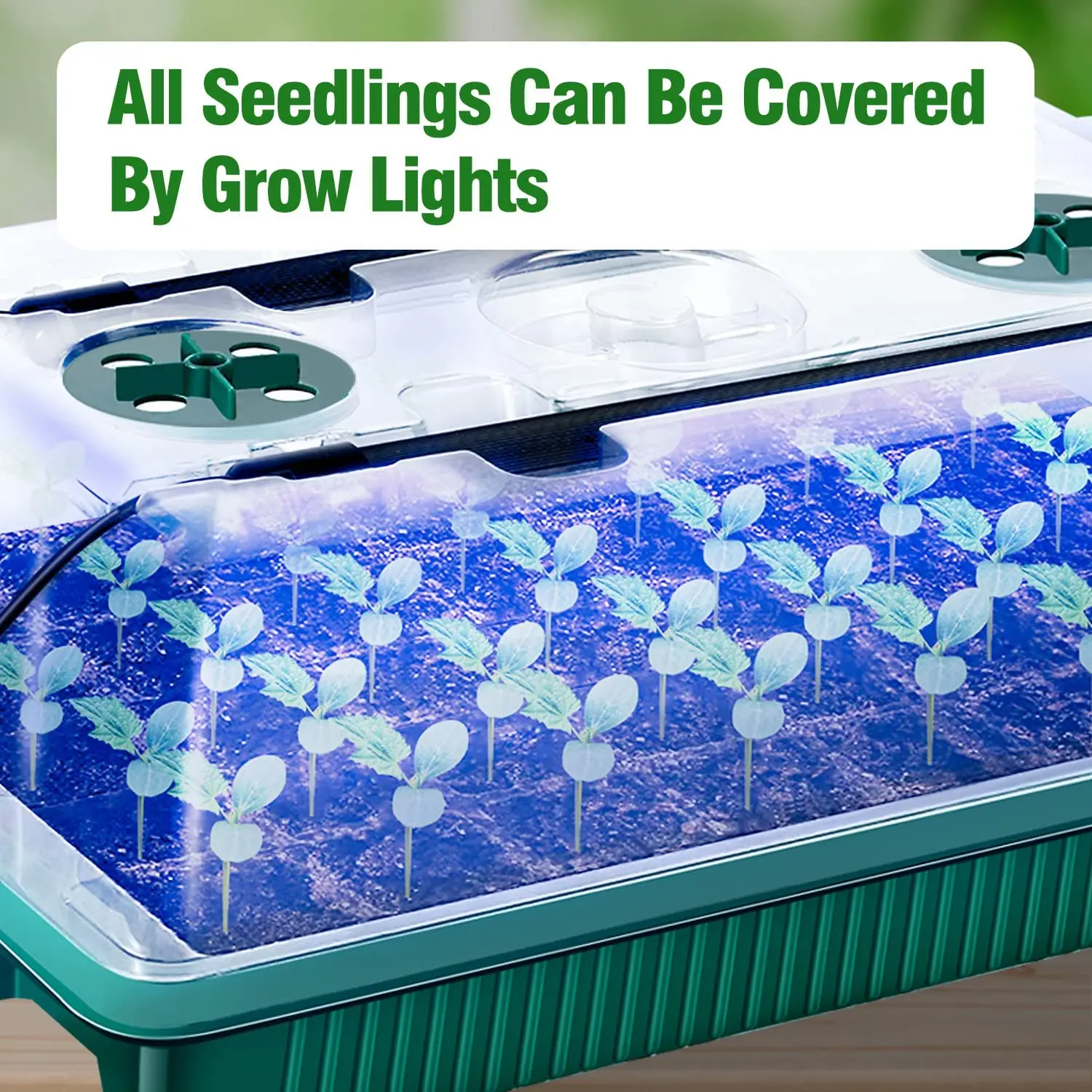 2 Packs of Seed Starter Trays With High Dome Germination Kit – 80 Cells, 4 LED Grow Lights, Smart Timer & 3 Modes For