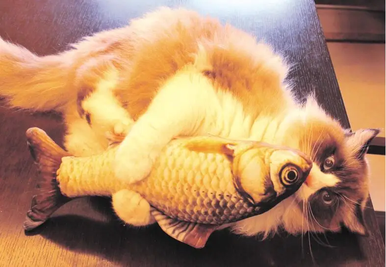 20cm Cat Favor Fish Toy Stuffed Fish Shape Cat Scratch Board Scratching Post plush toys For Cat Pet Toy Pet Products 20cm Cat Favor Fish Toy Stuffed Fish Shape Cat Scratch Board Scratching Post plush toys For Cat Pet Toy Pet Products