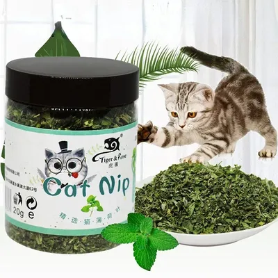 20g Organic 100% Natural High Quality Catnip Cattle Grass Mint Taste Funny Cat Toy Cat Toy Interactive Cat Toys