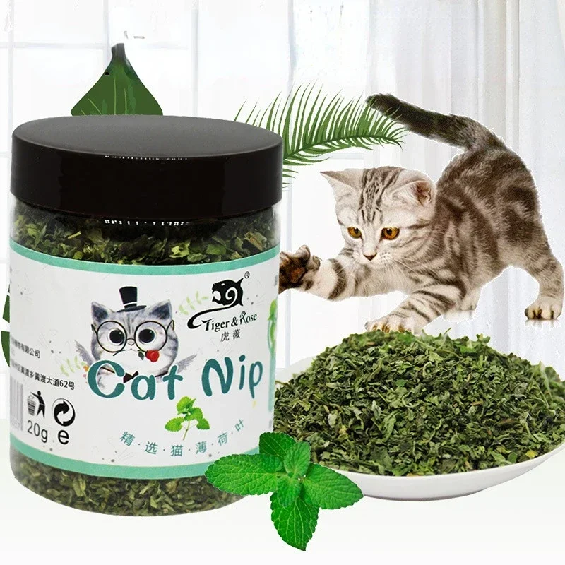 20g Organic 100% Natural High Quality Catnip Cattle Grass Mint Taste Funny Cat Toy Cat Toy Interactive Cat Toys 20g Organic 100% Natural High Quality Catnip Cattle Grass Mint Taste Funny Cat Toy Cat Toy Interactive Cat Toys