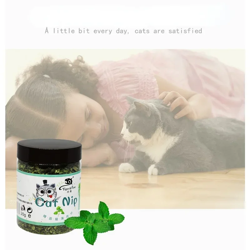 20g Organic 100% Natural High Quality Catnip Cattle Grass Mint Taste Funny Cat Toy Cat Toy Interactive Cat Toys