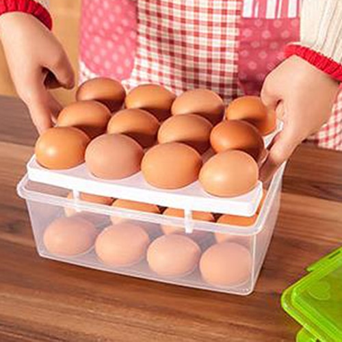 24 Grids Plastic Egg Container