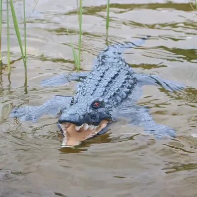 2.4G Electric Remote Control Crocodile Good Sealing Waterproof Swimming Pool RC Boat Toys for Children Summer Gift 2.4G Electric Remote Control Crocodile Good Sealing Waterproof Swimming Pool RC Boat Toys for Children Summer Gift