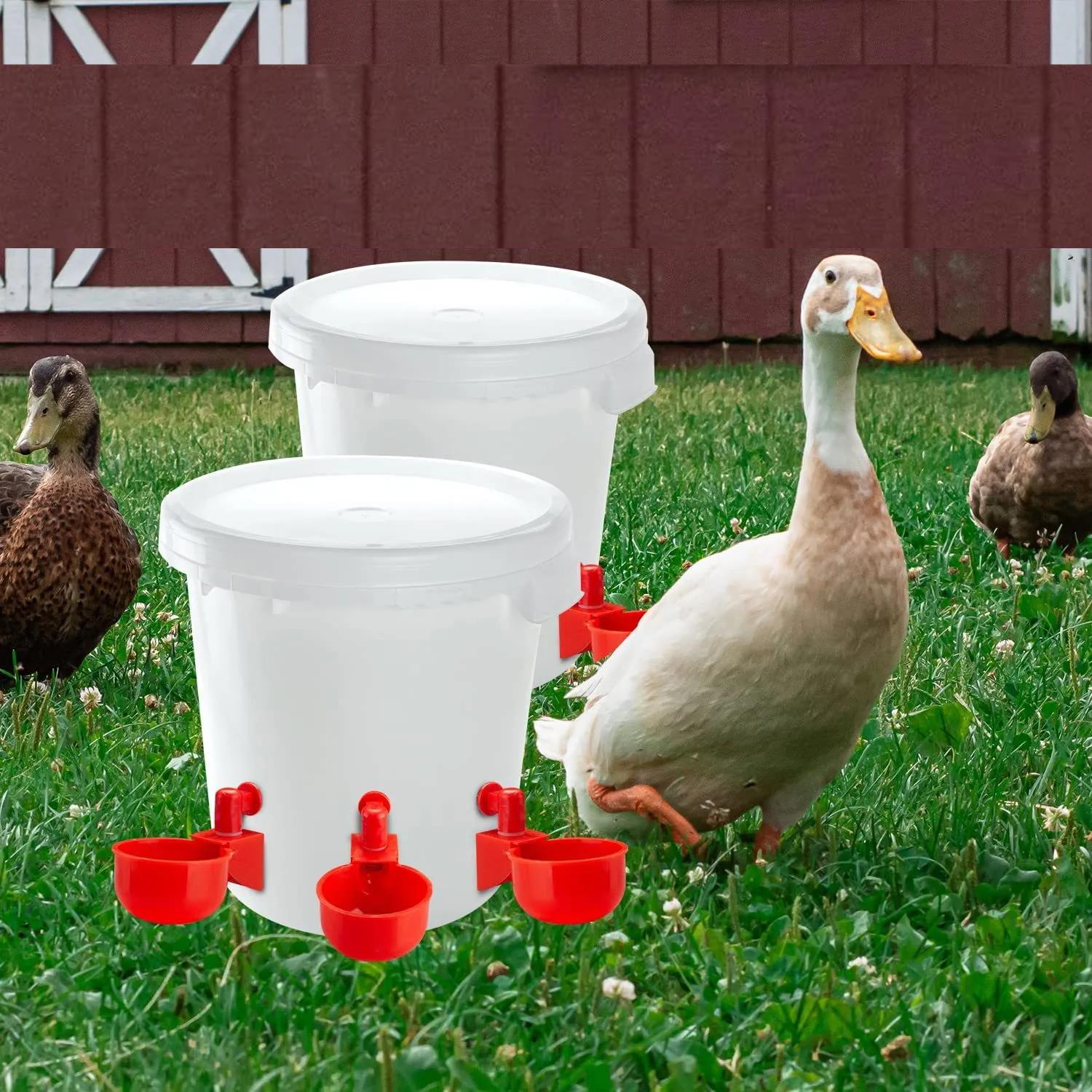 2pcs Chicken Drinking Cup Automatic Drinker Chicken Feeder Plastic Poultry Waterer Drinking Water Feeder for Chicks 2pcs Chicken Drinking Cup Automatic Drinker Chicken Feeder Plastic Poultry Waterer Drinking Water Feeder for Chicks