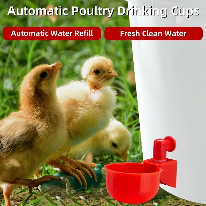 2pcs Chicken Drinking Cup Automatic Drinker Chicken Feeder Plastic Poultry Waterer Drinking Water Feeder for Chicks 2pcs Chicken Drinking Cup Automatic Drinker Chicken Feeder Plastic Poultry Waterer Drinking Water Feeder for Chicks