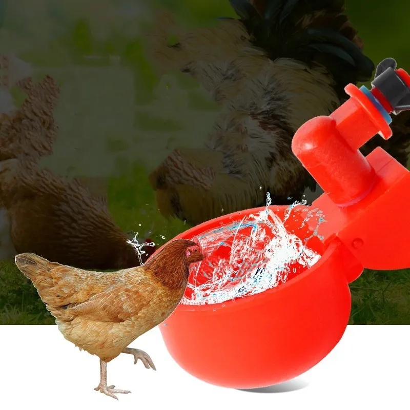 2pcs Chicken Drinking Cup Automatic Drinker Chicken Feeder Plastic Poultry Waterer Drinking Water Feeder for Chicks 2pcs Chicken Drinking Cup Automatic Drinker Chicken Feeder Plastic Poultry Waterer Drinking Water Feeder for Chicks