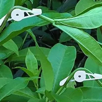 360 Degrees Plant Benders (10 pcs) 360 Degrees Plant Benders (10 pcs)