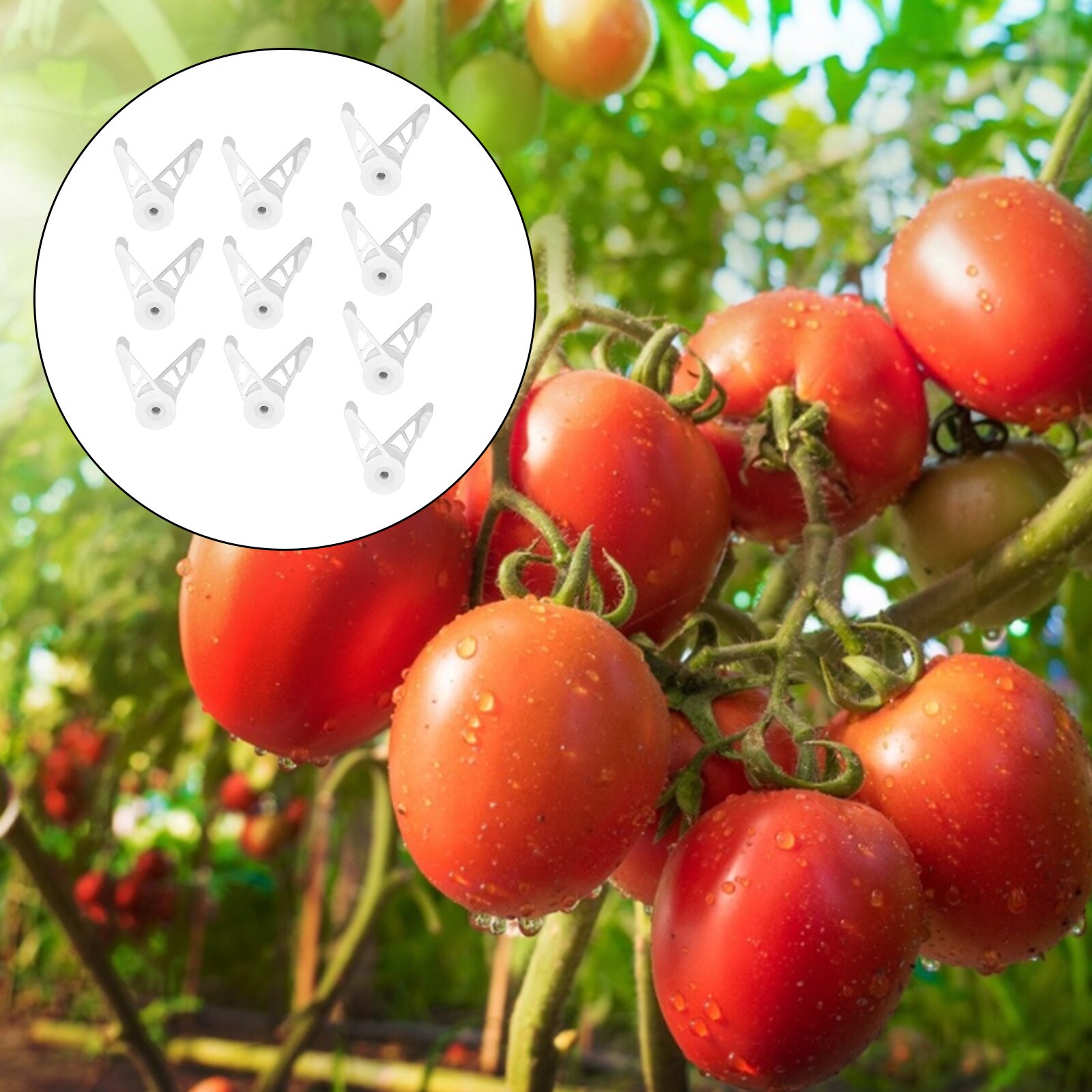360 Degrees Plant Benders (10 pcs) 360 Degrees Plant Benders (10 pcs)