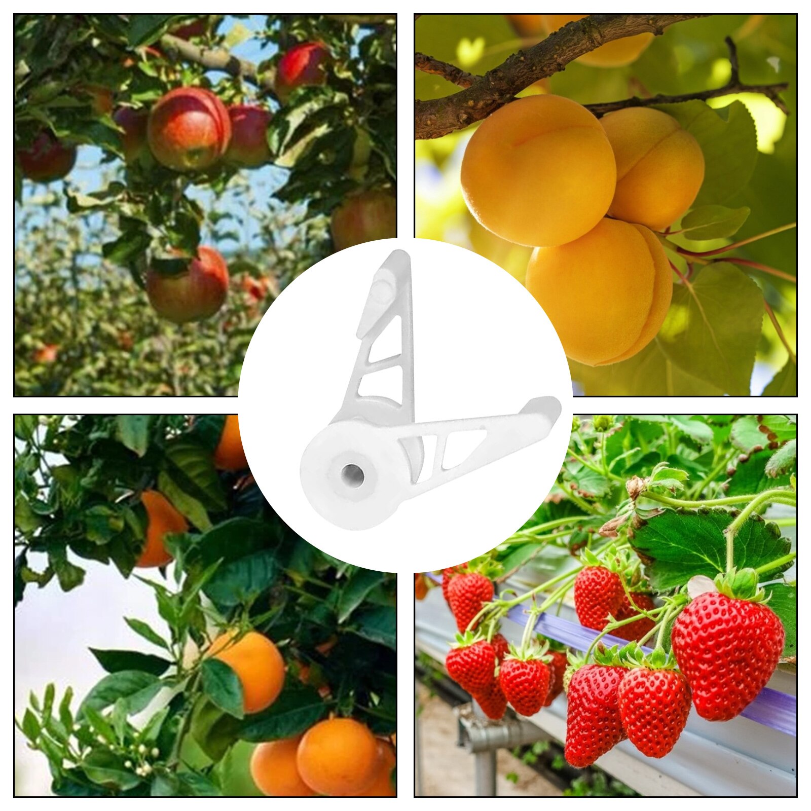 360 Degrees Plant Benders (10 pcs) 360 Degrees Plant Benders (10 pcs)