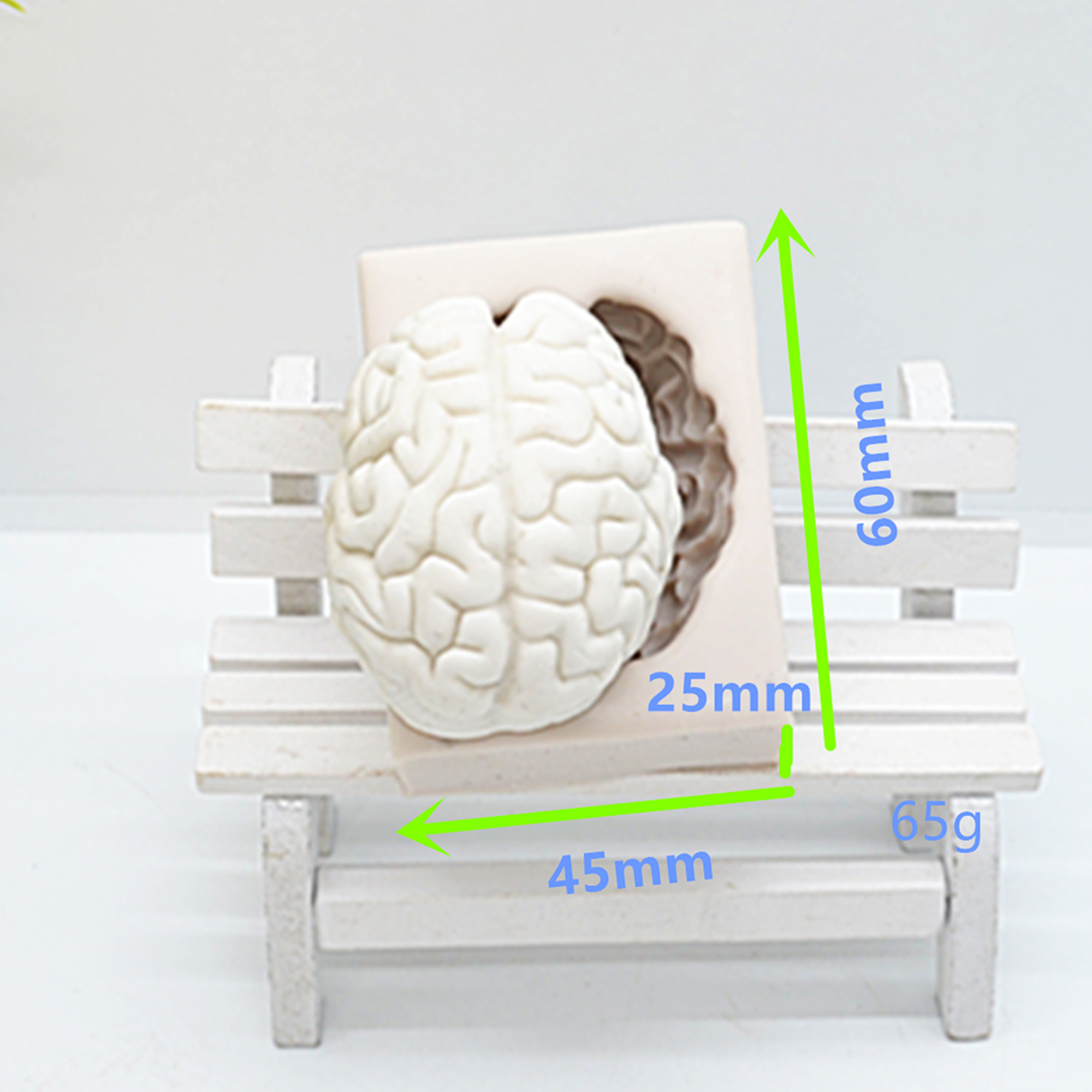 3D Silicone Brain Chocolate Mold 3D Silicone Brain Chocolate Mold