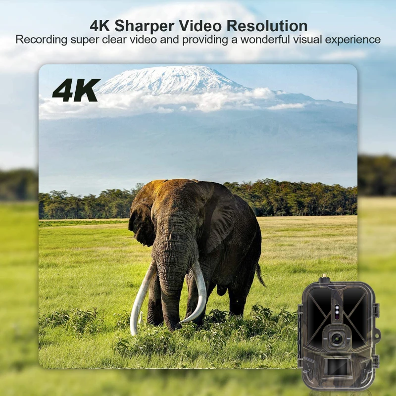 4G HD LIVE Video Lithium Battery Cellular Trail Camera 50MP 4K Wireless Game APP Cloud Service Waterproof IP66 Wildlife 4G HD LIVE Video Lithium Battery Cellular Trail Camera 50MP 4K Wireless Game APP Cloud Service Waterproof IP66 Wildlife