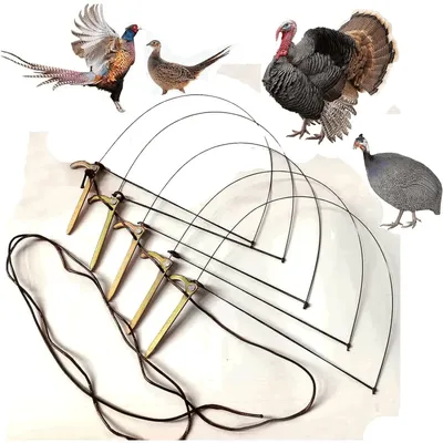 5pcs Professional No Harmful Bird Trap for Chicken Pheasant Wild Duck Partridge Mallard and Other Medium-Sized Birds