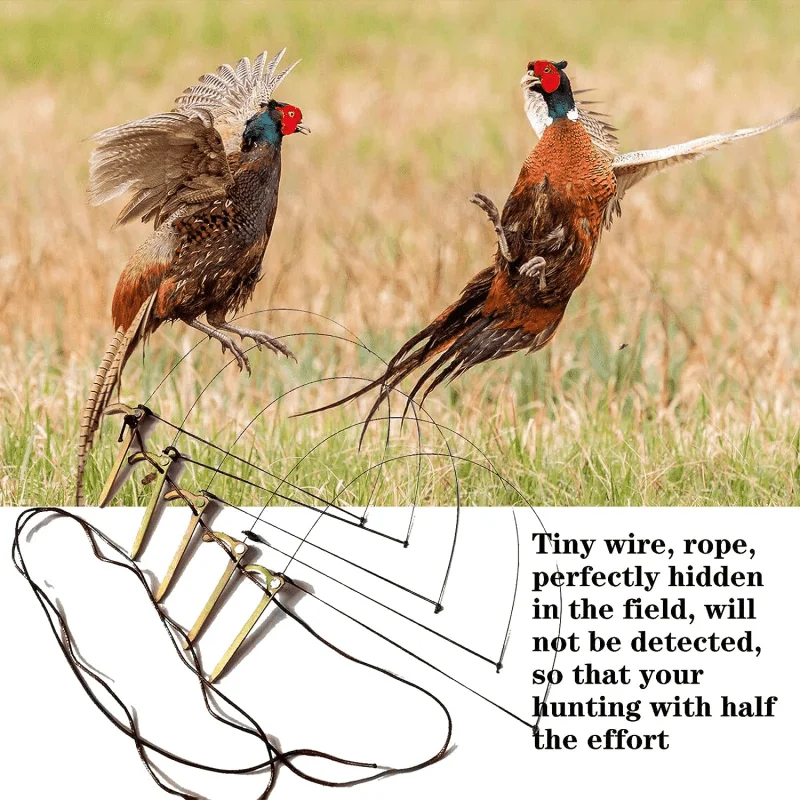5pcs Professional No Harmful Bird Trap for Chicken Pheasant Wild Duck Partridge Mallard and Other Medium-Sized Birds