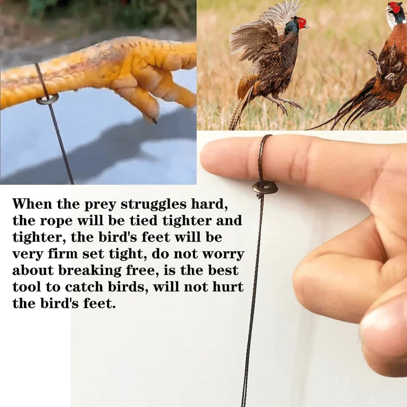 5pcs Professional No Harmful Bird Trap for Chicken Pheasant Wild Duck Partridge Mallard and Other Medium-Sized Birds