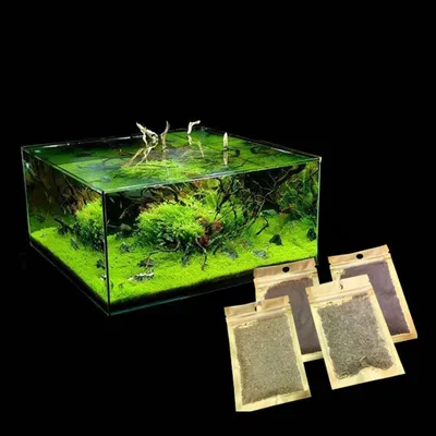 6 random Fish Tank Plants Aquarium Supplies 6 random Fish Tank Plants Aquarium Supplies