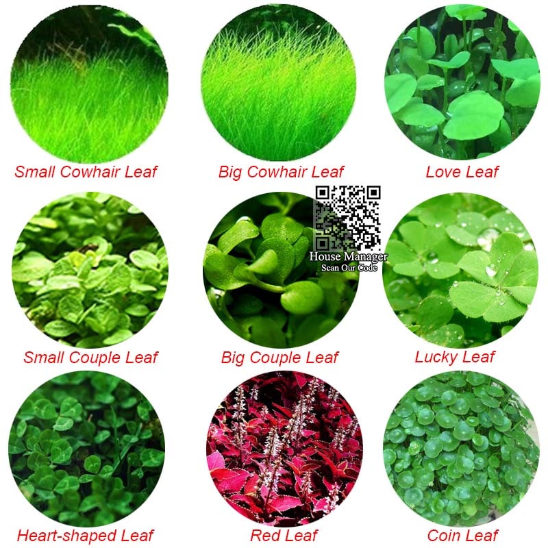 6 random Fish Tank Plants Aquarium Supplies 6 random Fish Tank Plants Aquarium Supplies