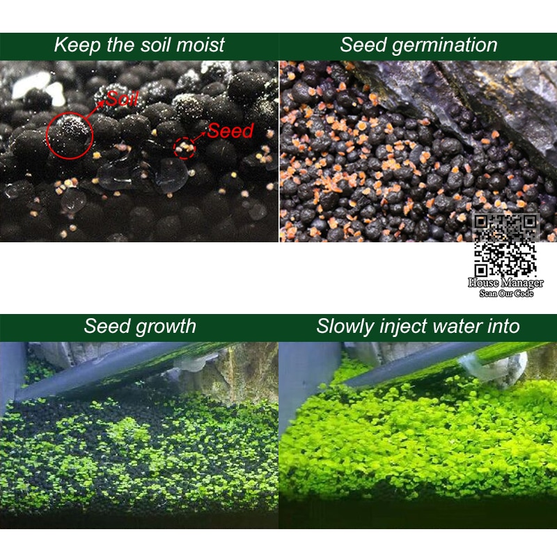 6 random Fish Tank Plants Aquarium Supplies 6 random Fish Tank Plants Aquarium Supplies