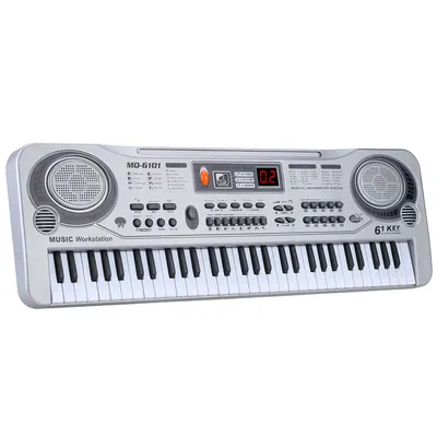 61 Keys Electronic Keyboard with Microphone 61 Keys Electronic Keyboard with Microphone