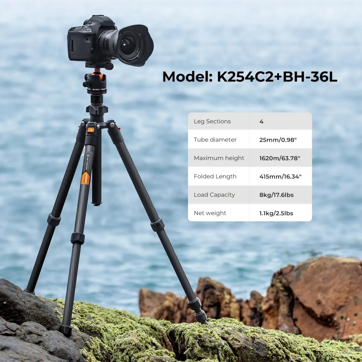 64 inch/162cm Carbon Fiber Camera Tripod Lightweight Travel Tripod with 36mm Metal Ball Head Quick Release Plate