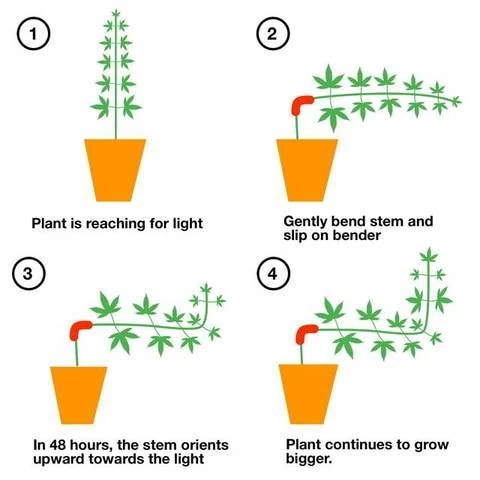 90° Plastic Plant Benders (60 pcs) 90° Plastic Plant Benders (60 pcs)