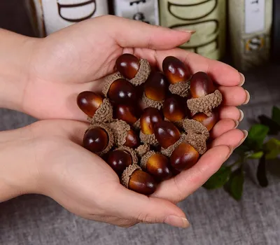 Acorn Decor Plastic Ornaments (20pcs) Acorn Decor Plastic Ornaments (20pcs)