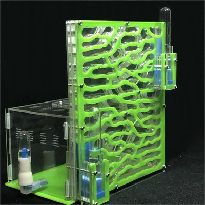 Acrylic Ant Farm with Feeding Area Acrylic Ant Farm with Feeding Area