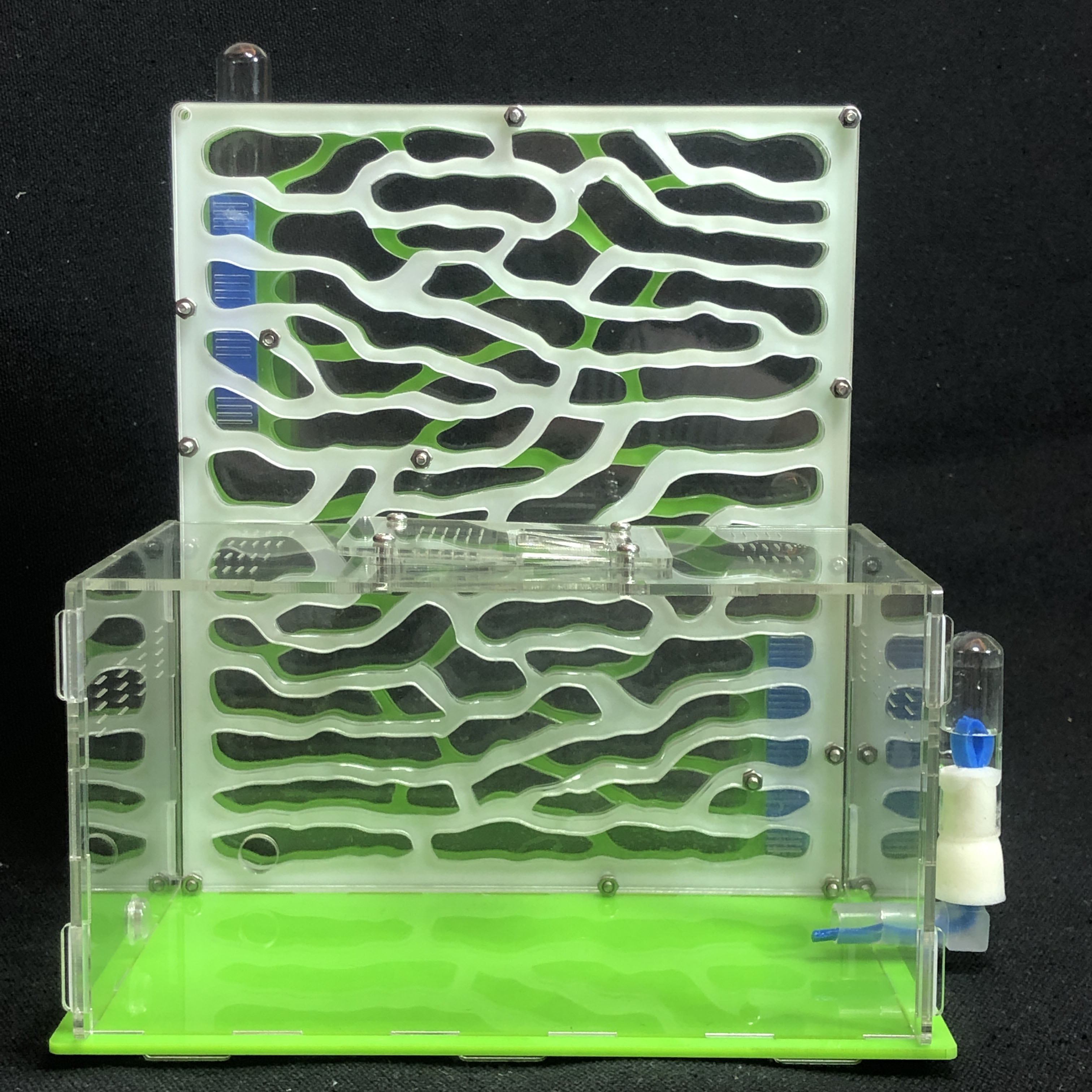 Acrylic Ant Farm with Feeding Area Acrylic Ant Farm with Feeding Area