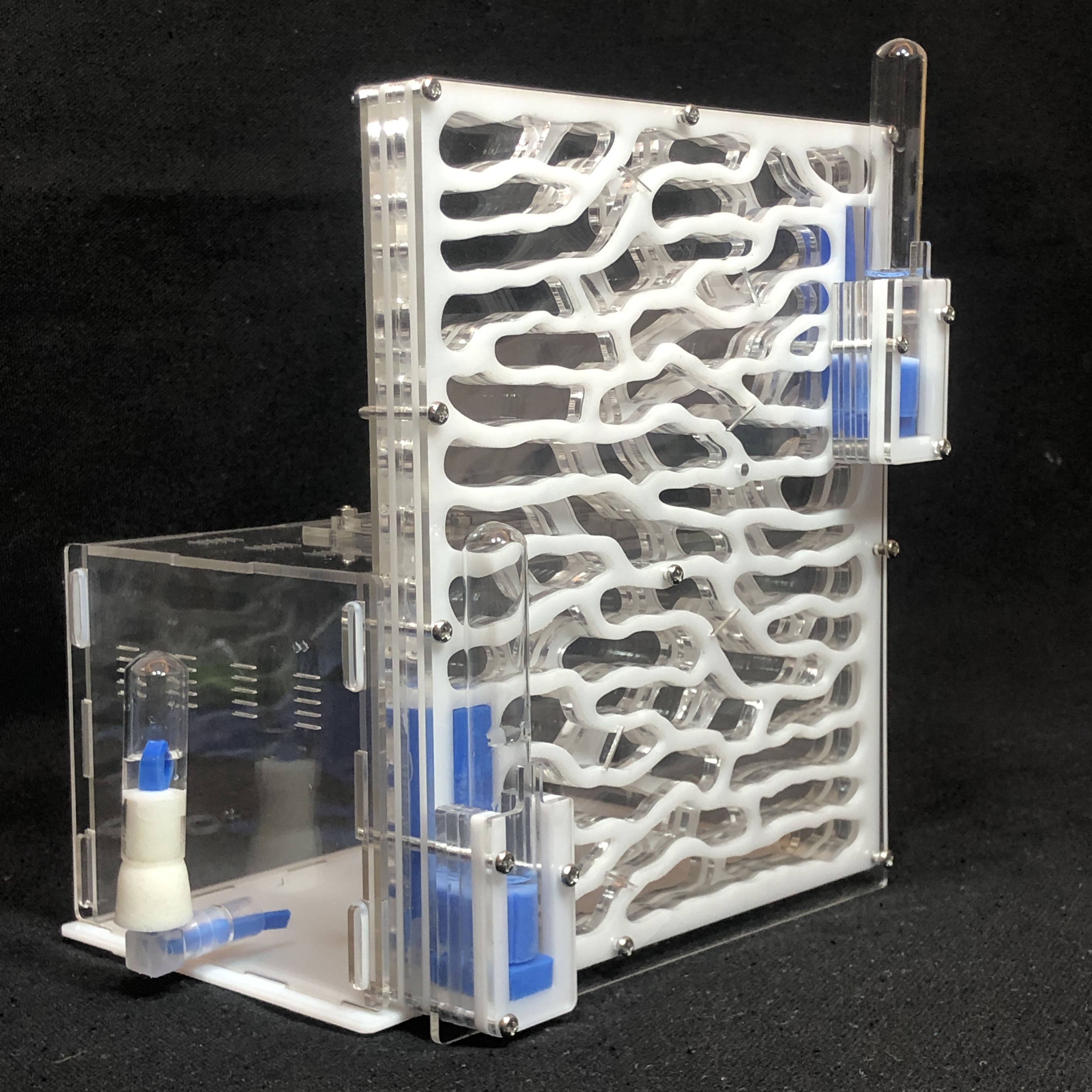Acrylic Ant Farm with Feeding Area Acrylic Ant Farm with Feeding Area