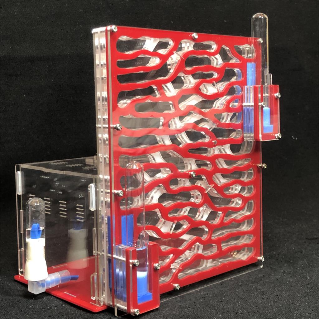 Acrylic Ant Farm with Feeding Area Acrylic Ant Farm with Feeding Area