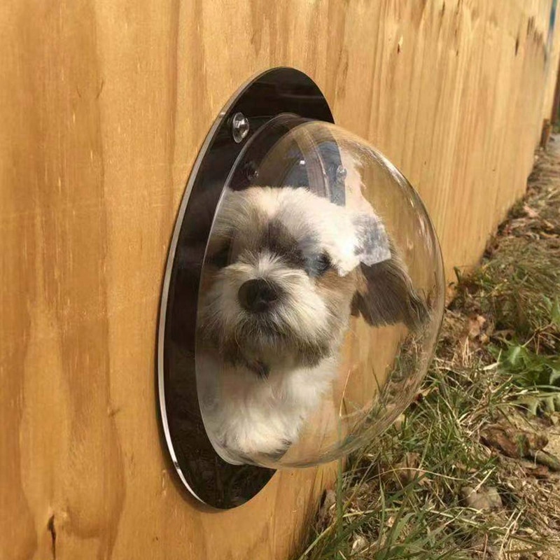 Acrylic Fence Dog Window Bubble