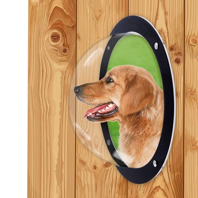 Acrylic Fence Dog Window Bubble