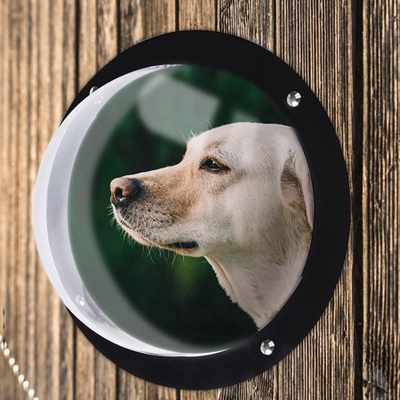 Acrylic Fence Dog Window Bubble