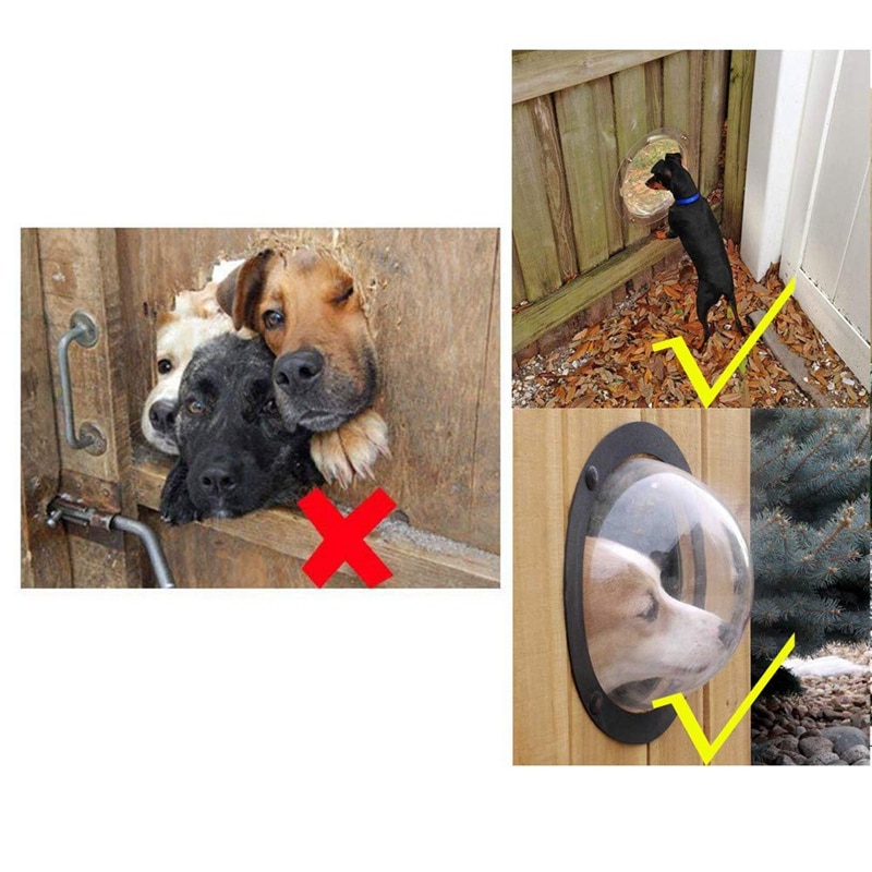 Acrylic Fence Dog Window Bubble