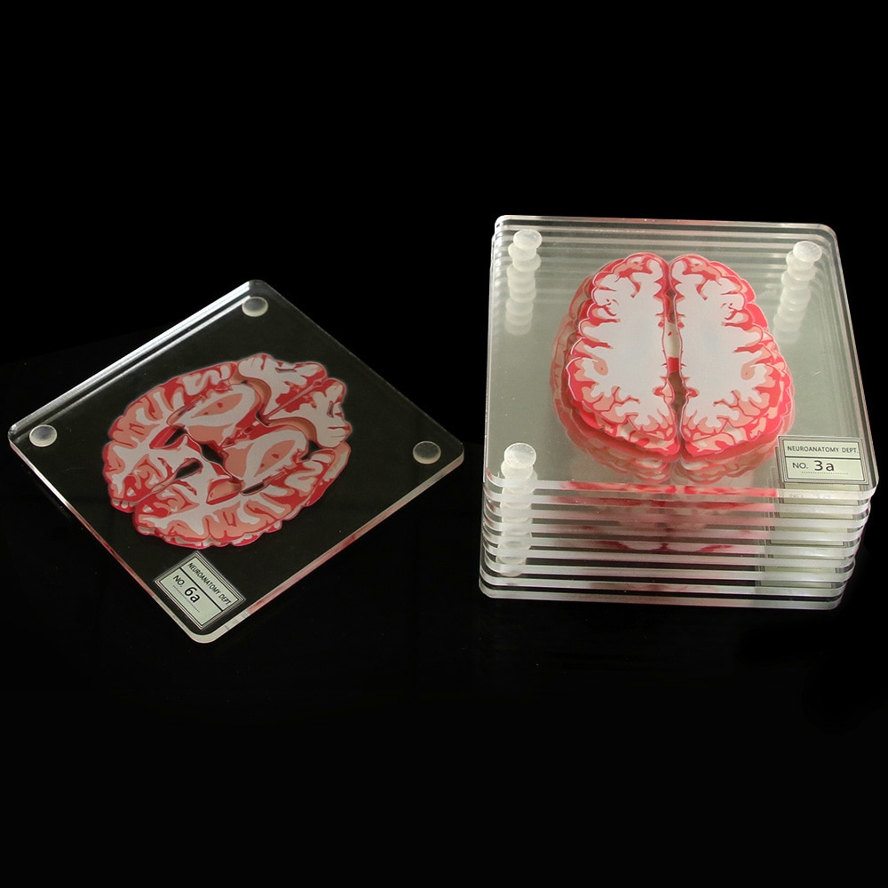 Acrylic Non-Slip Brain Coasters (10pcs) Acrylic Non-Slip Brain Coasters (10pcs)