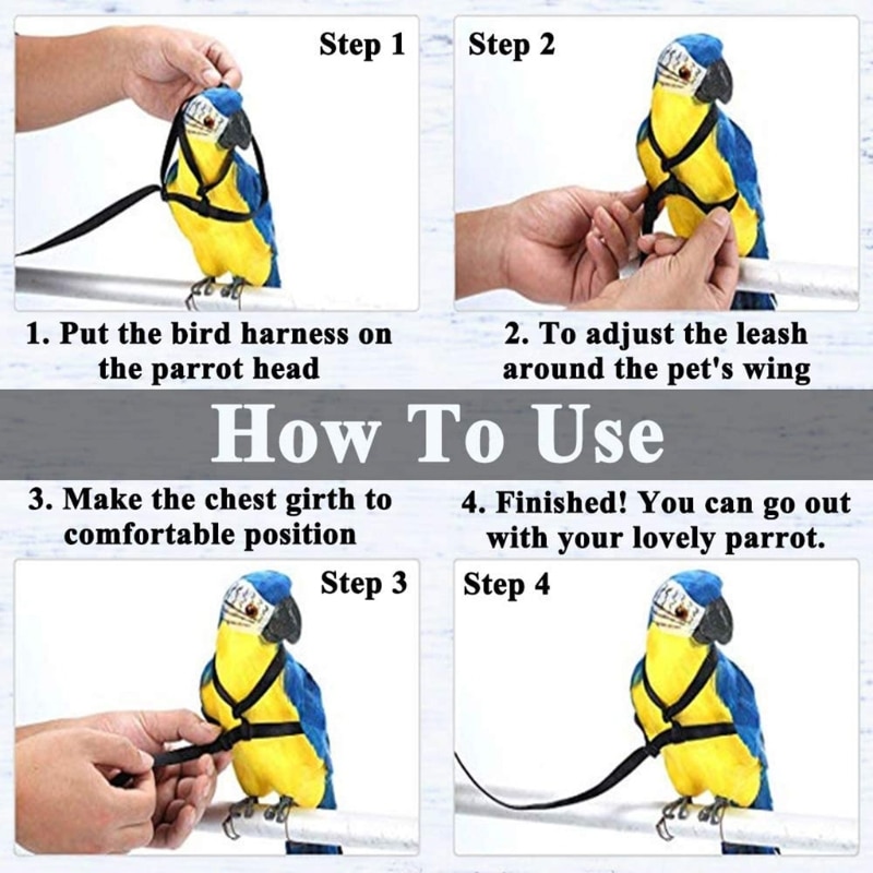 Adjustable Bird Harness and Leash Adjustable Bird Harness and Leash