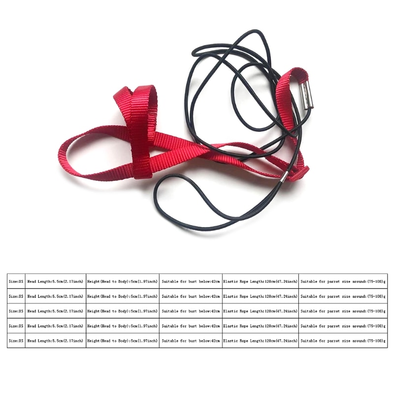 Adjustable Bird Harness and Leash Adjustable Bird Harness and Leash