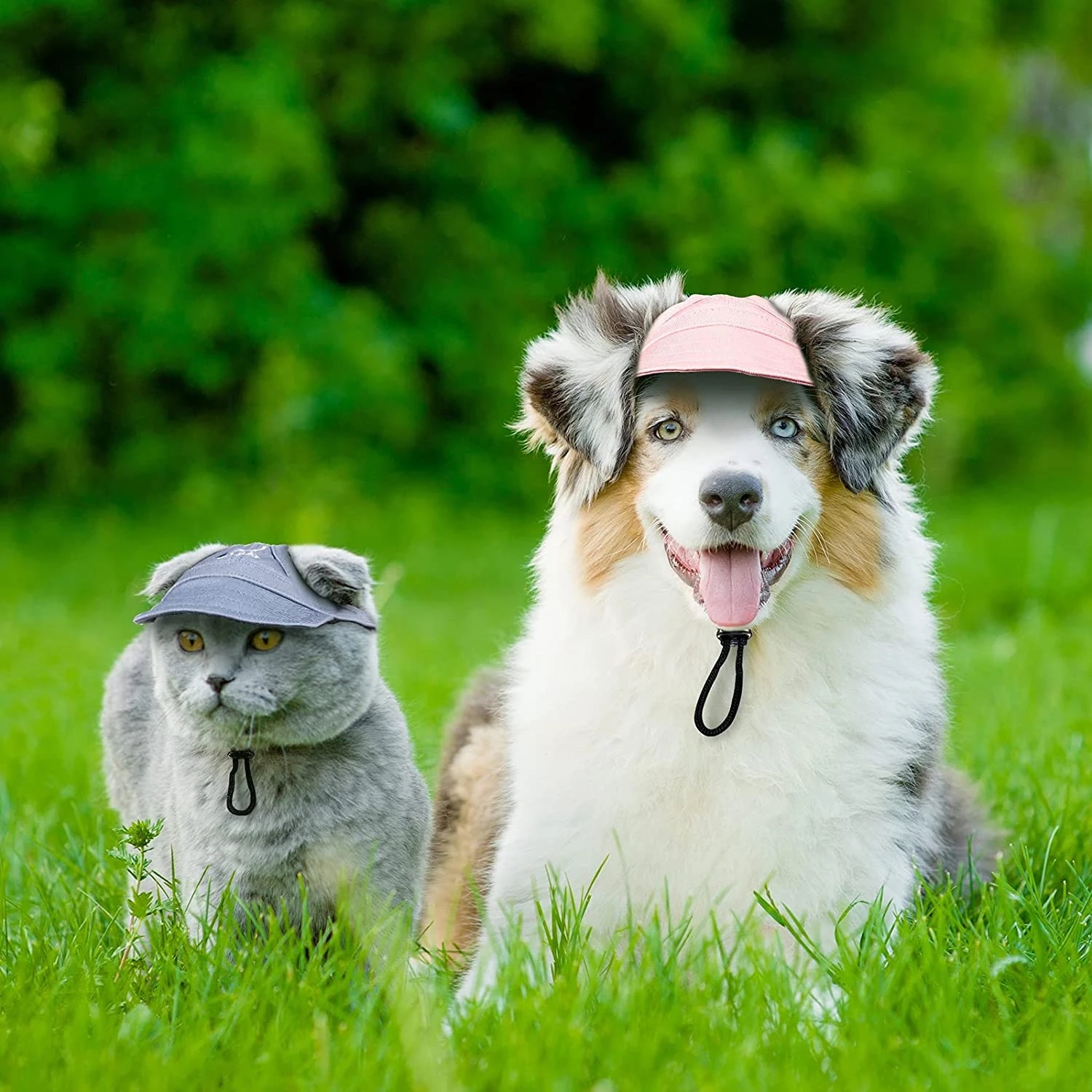 Adjustable Canvas Dog Sunhat Adjustable Canvas Dog Sunhat