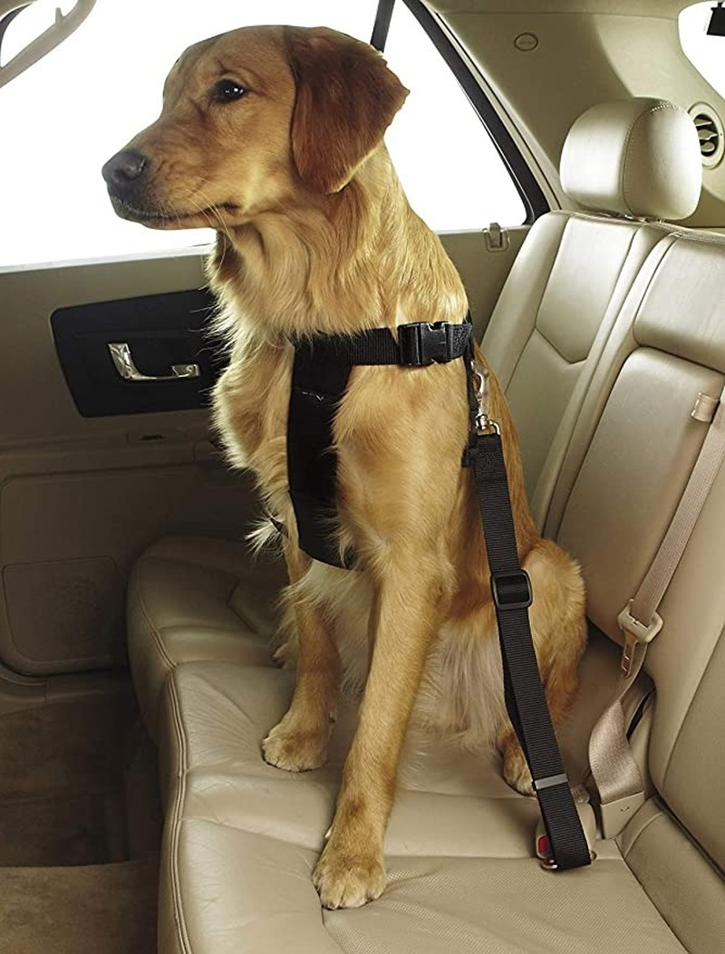 Adjustable Dog Car Leash Seat Belt Adjustable Dog Car Leash Seat Belt
