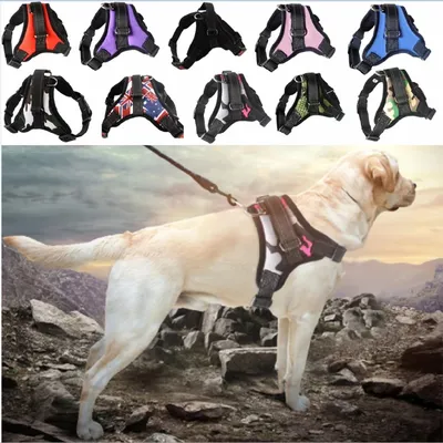 Adjustable Dog Harness Durable Reflective Pet Dog Harness For Dogs Pet Walking Harness For Small Medium Large Pets Adjustable Dog Harness Durable Reflective Pet Dog Harness For Dogs Pet Walking Harness For Small Medium Large Pets